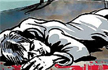 Congress leader Ajay Singhs nephew shot dead by Naxals in Bijapur
